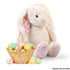 Stuffed Bunny Rabbit with Floppy Ears